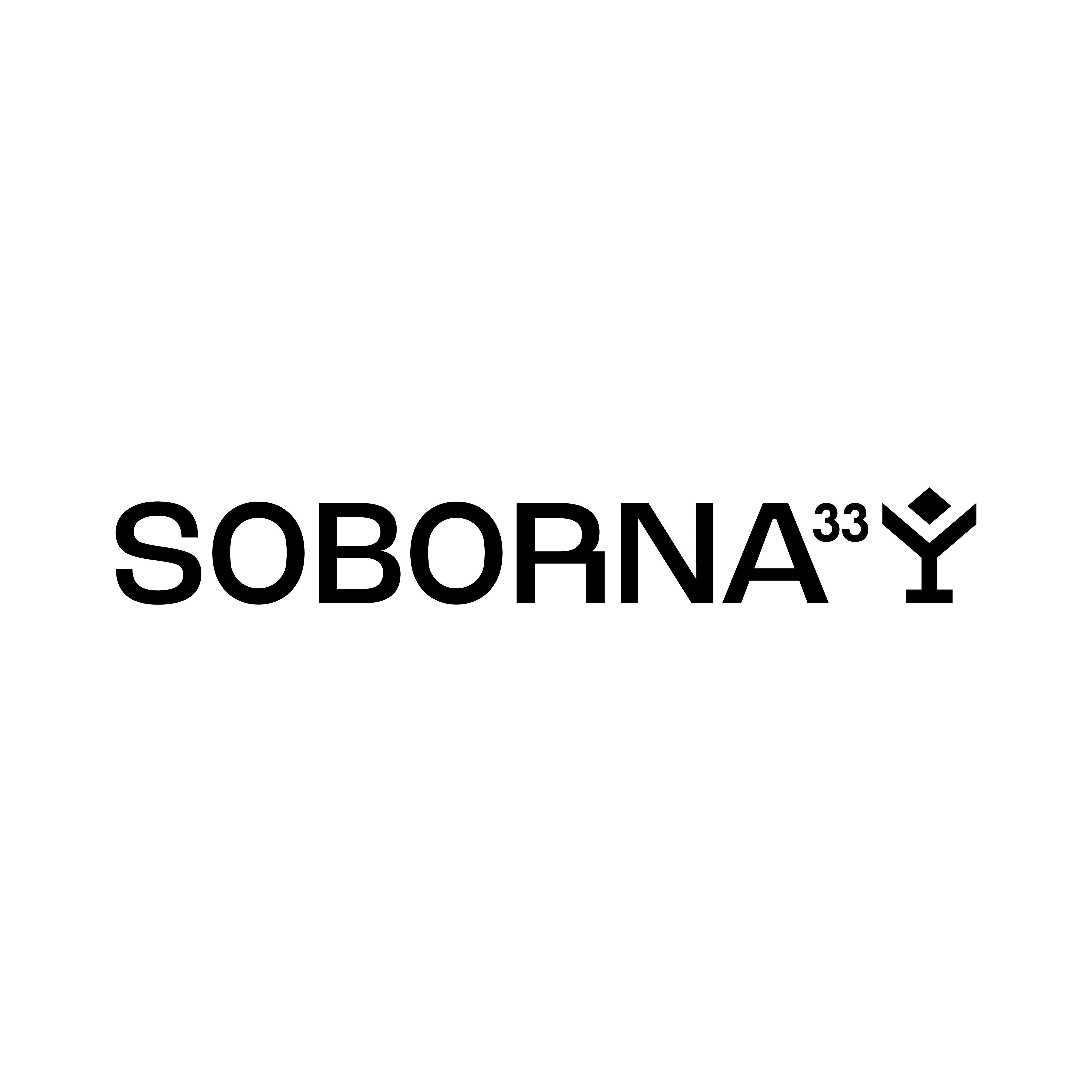 Soborna33